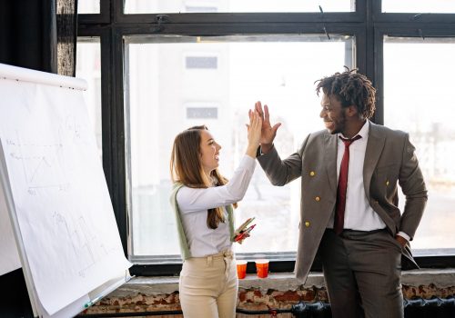 business coaching with Sankofa